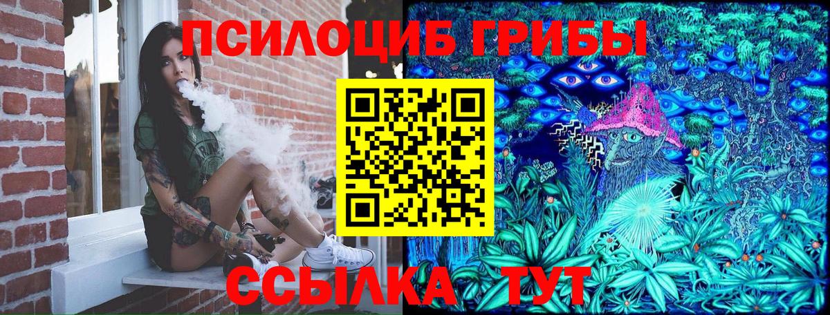 Боровичи  купить наркотик  Псилоцибиновые грибы прущие грибы  Вход с VPN  Галлюциногенные грибы Psilocybe 