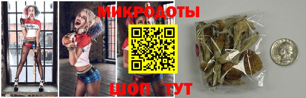 Галлюциногенные грибы Psilocybe Боровичи
